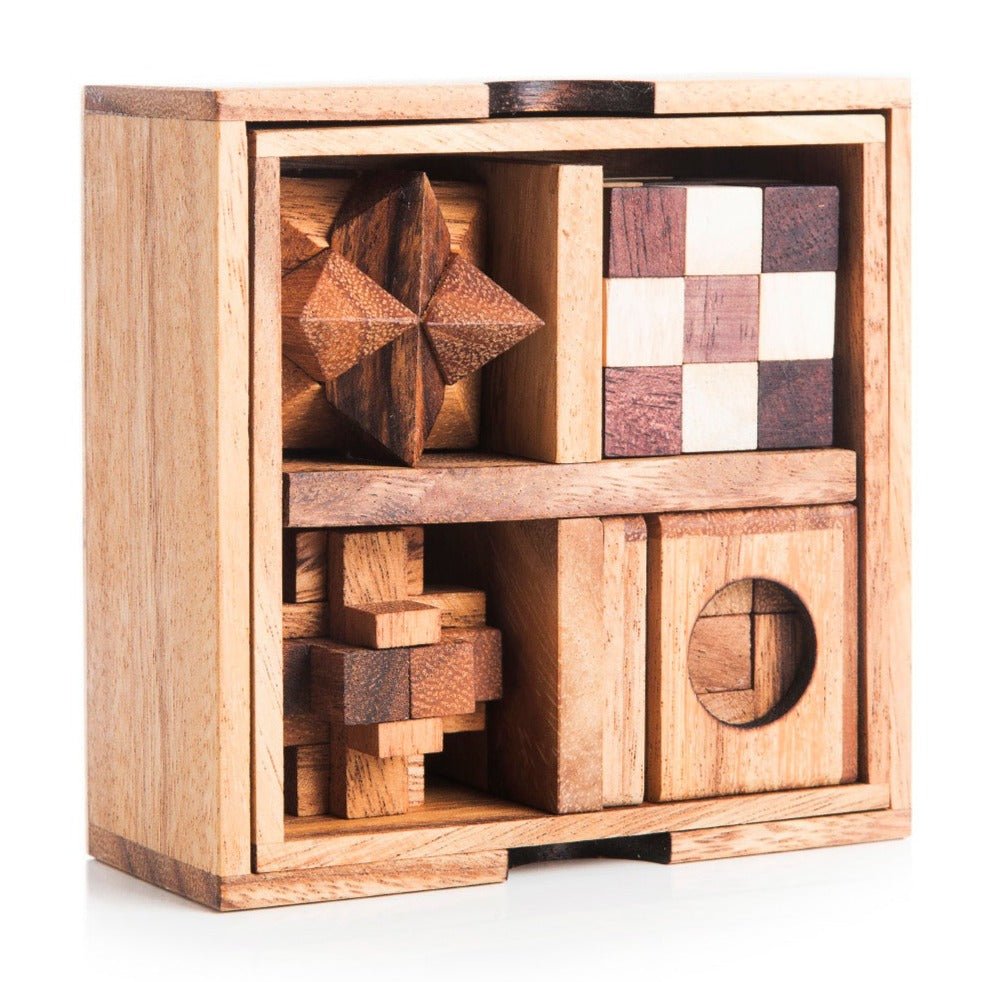 5 Mechanical Puzzle Set - Puzzle Gift Box For Adults