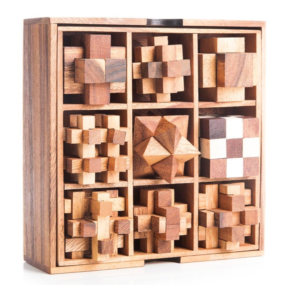 9 Mechanical Puzzle Gift Box - Puzzles For Adults