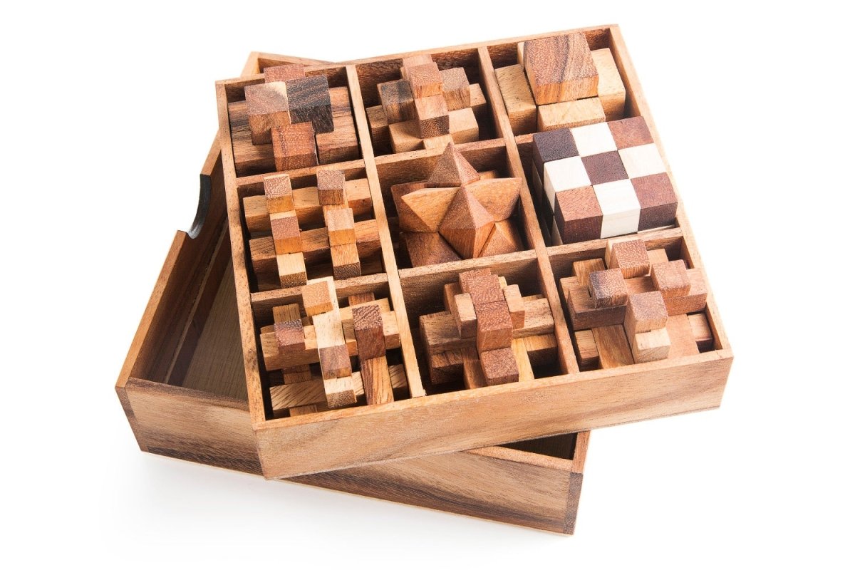 9 Mechanical Puzzle Gift Box - Puzzles For Adults