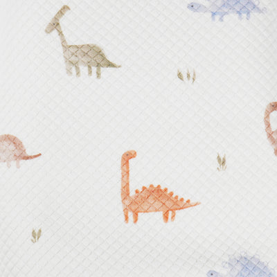 Dinosaur Pattern Printed Knit Blanket