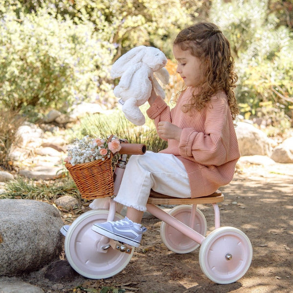 Banwood Trike Pink