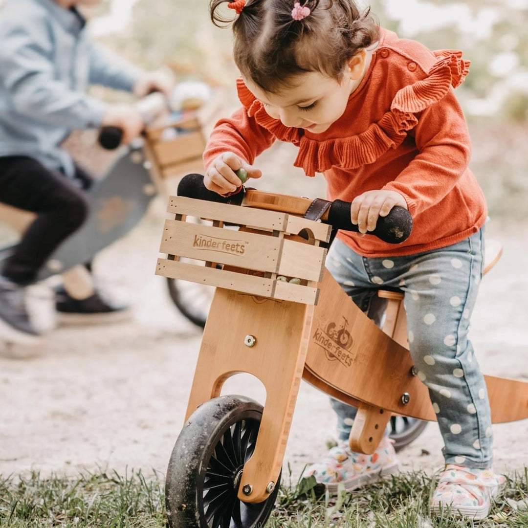 Tiny Tot 2 in 1 Wooden Balance Bike Tricycle Bee Like Kids